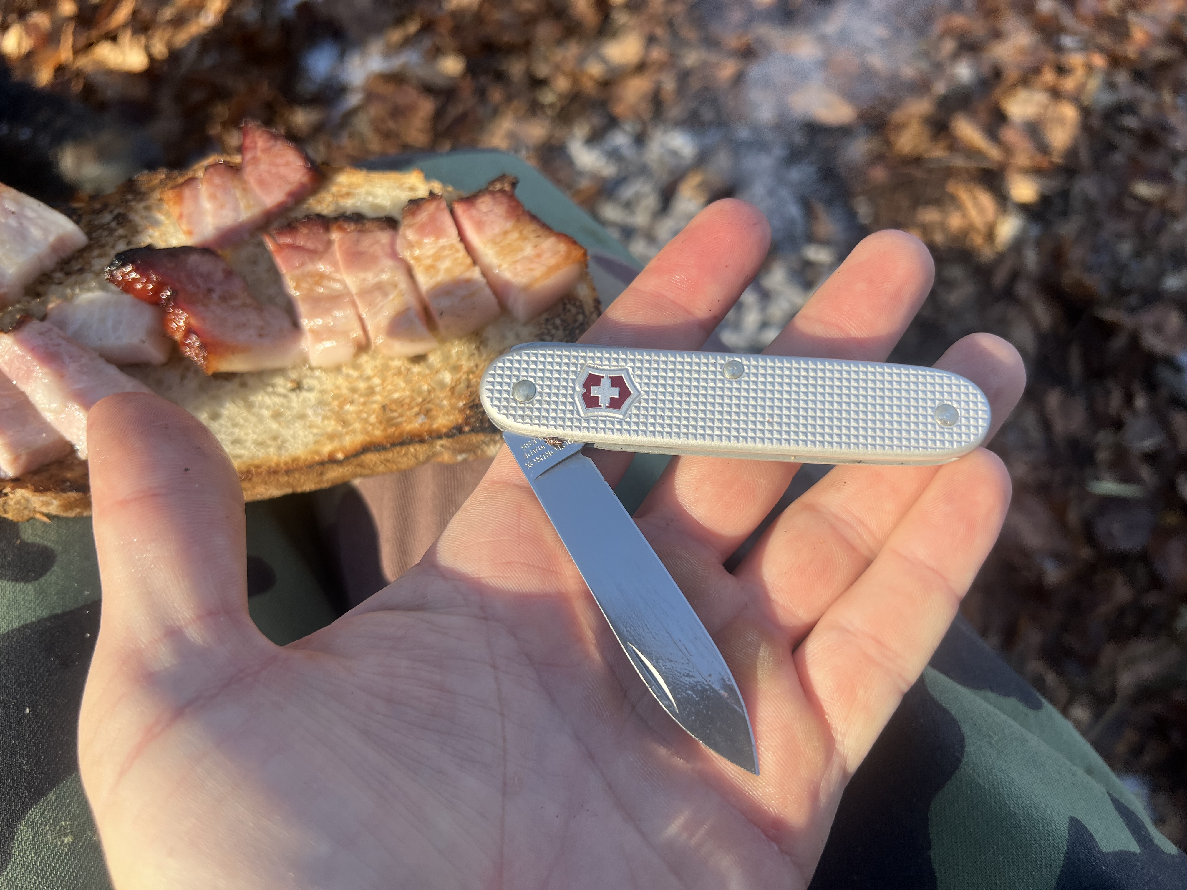 Victorinox Ranger Wood 55