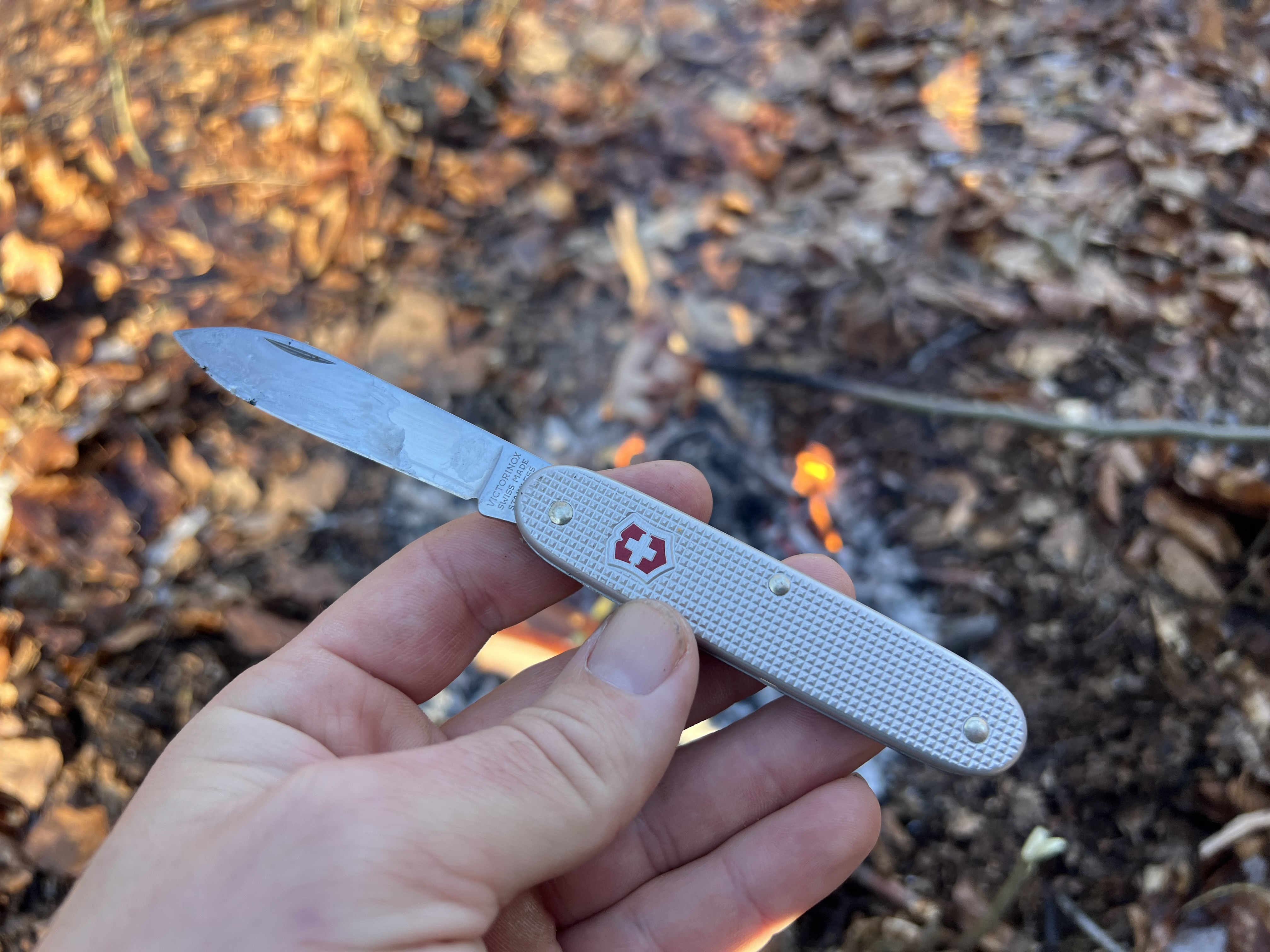 Victorinox Ranger Wood 55