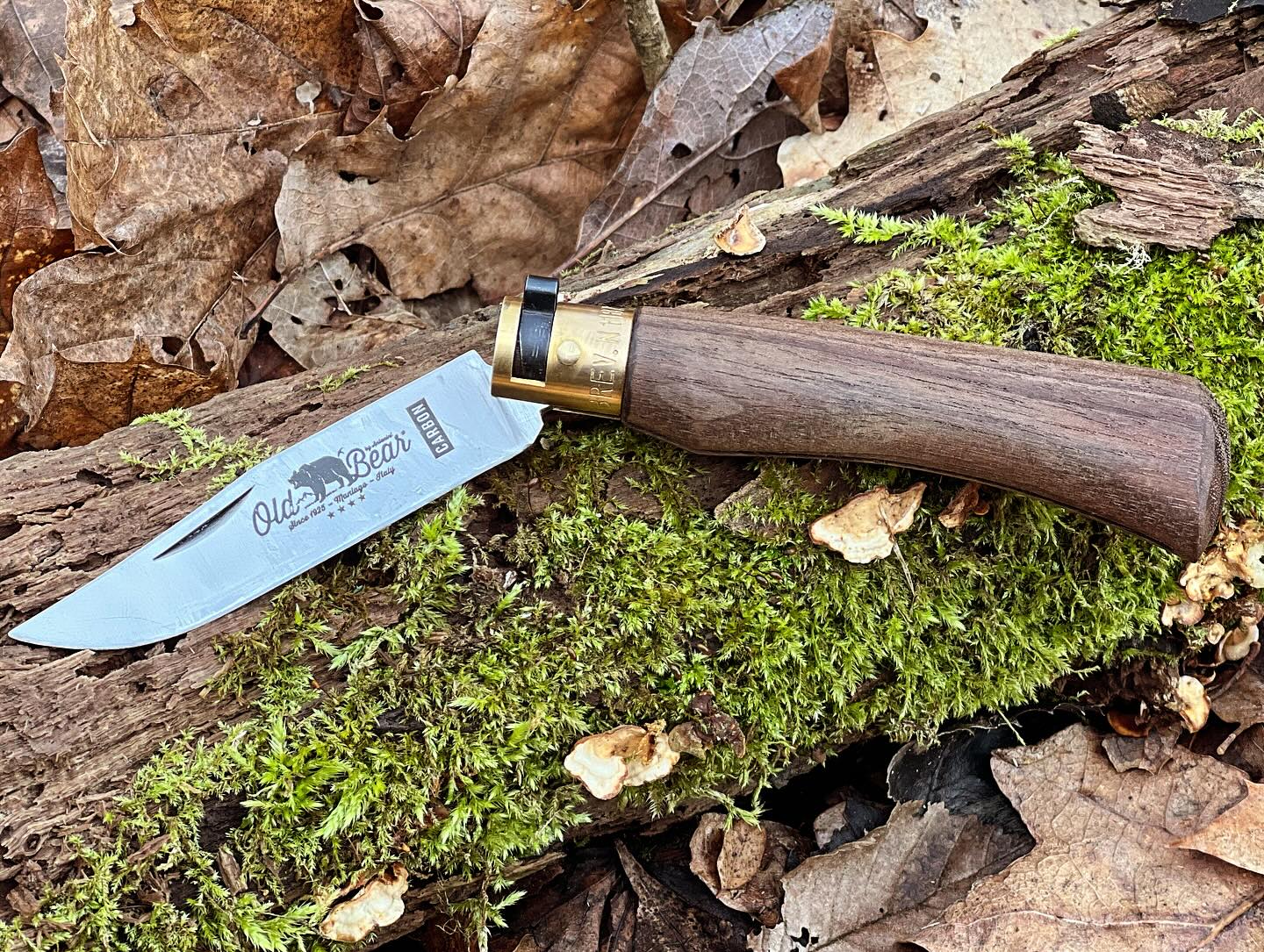 Victorinox Ranger Wood 55