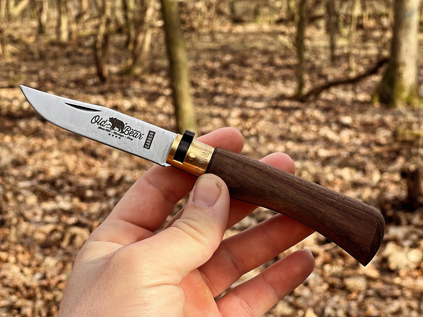 Victorinox Ranger Wood 55